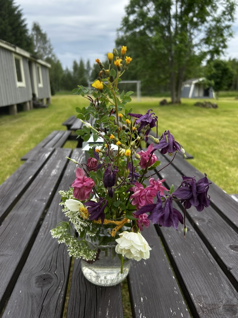 Laagrimaja ja õueala rent